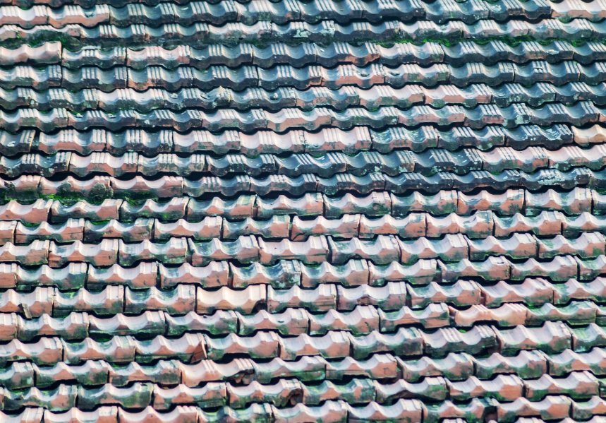 Green moss and algae growing on a shingle roof