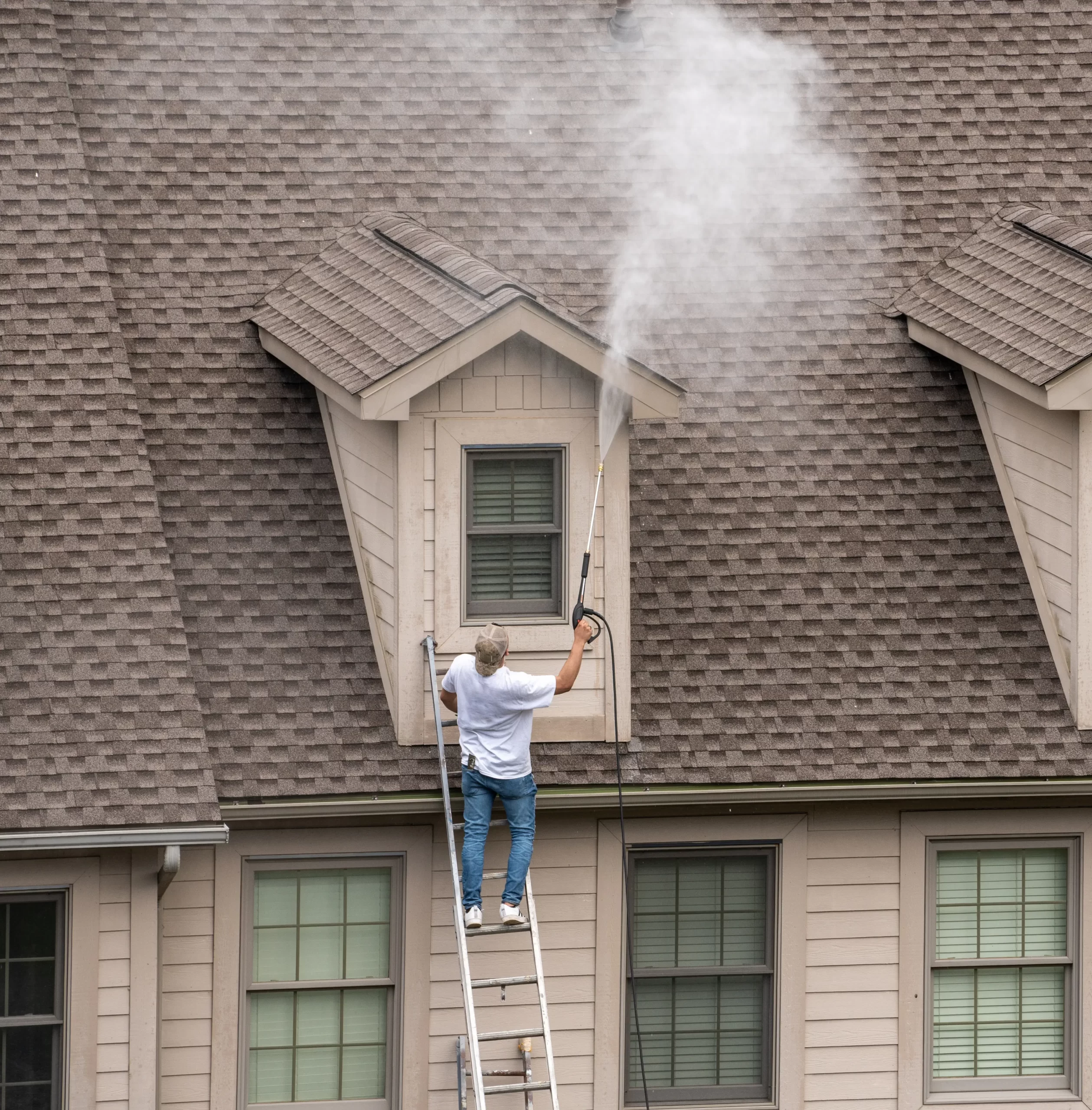 roof cleaning image