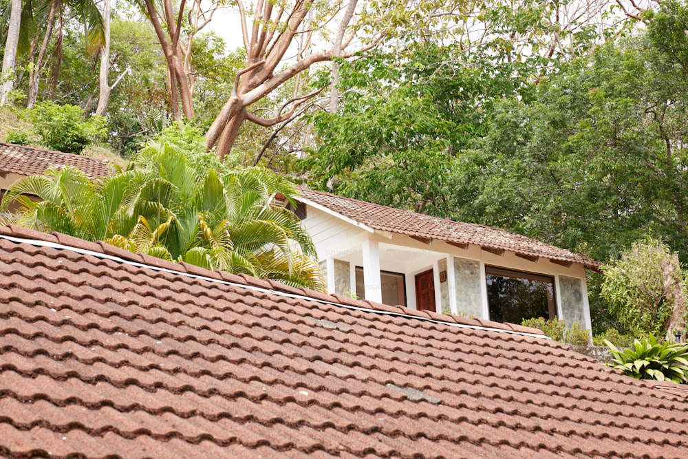 Here’s what Elite Roof Cleaning recommends for your residential roof cleaning