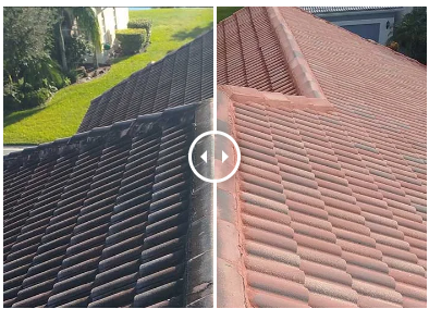 What do Elite Roof Cleaning professionals use?