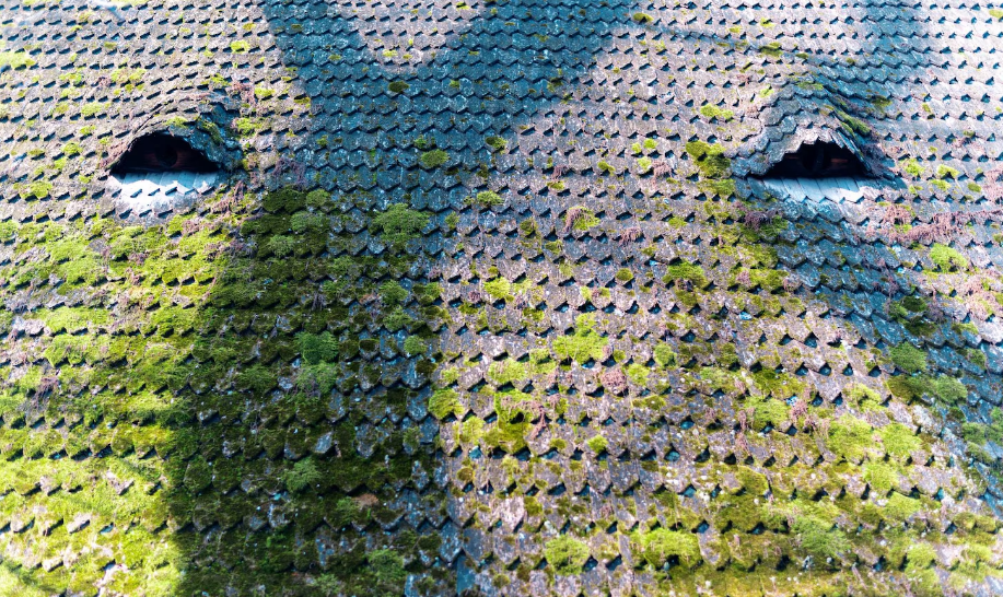 algae-stains-on-weathered-roof